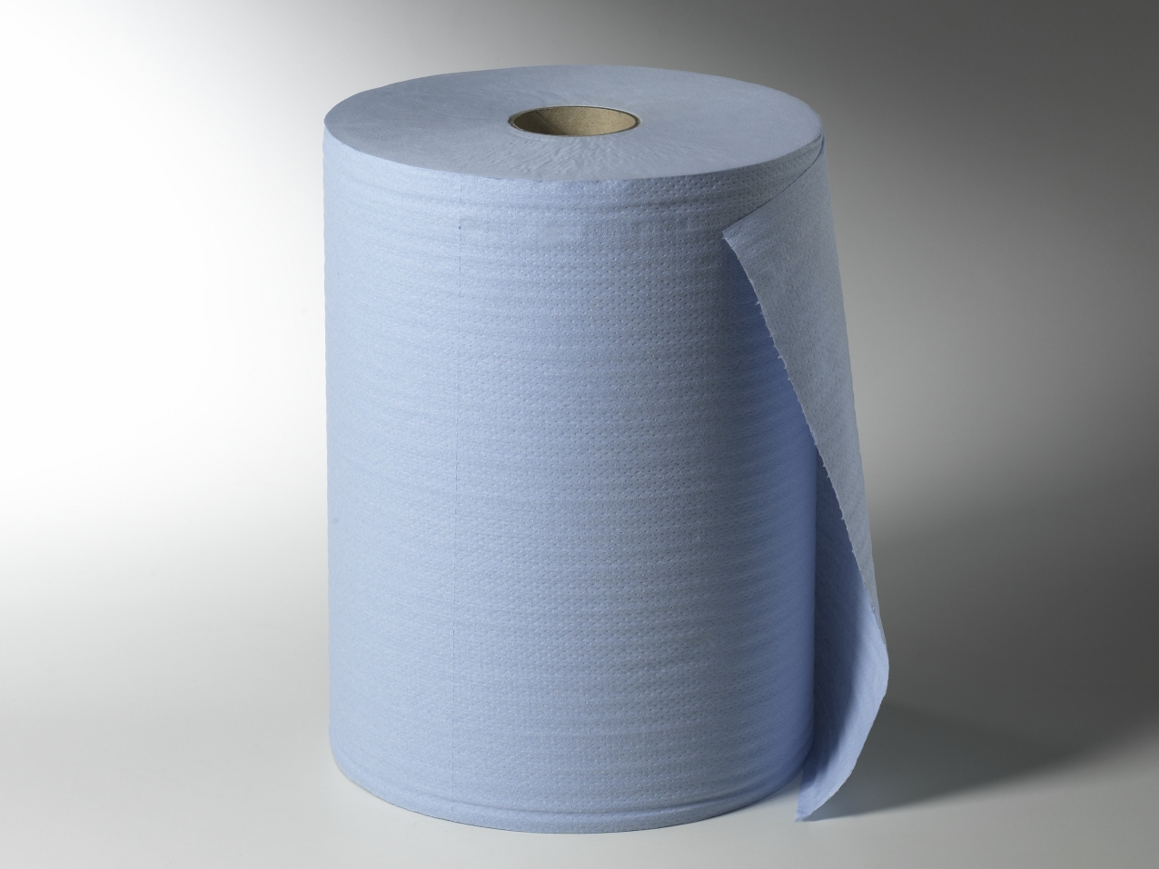 Fripa Profi Putzrolle, 2-lagig, 1000 Abrisse, 48 Rollen Industrie Handwerk - 1 Palette